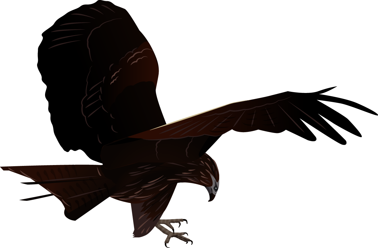 BlackKite